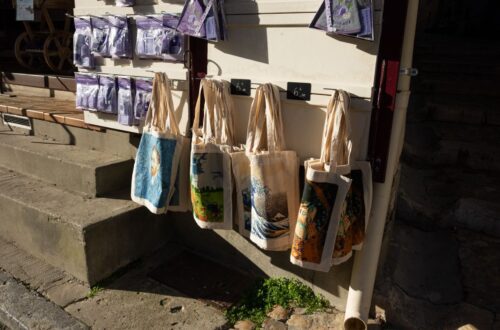 Cost of Living in Aix-en-Provence: The Real Costs A vibrant display of canvas tote bags and lavender products in Arles, France.